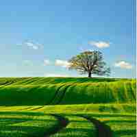 免‌费‍SEO框‍架﻿平​台​